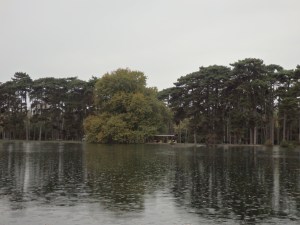 parque